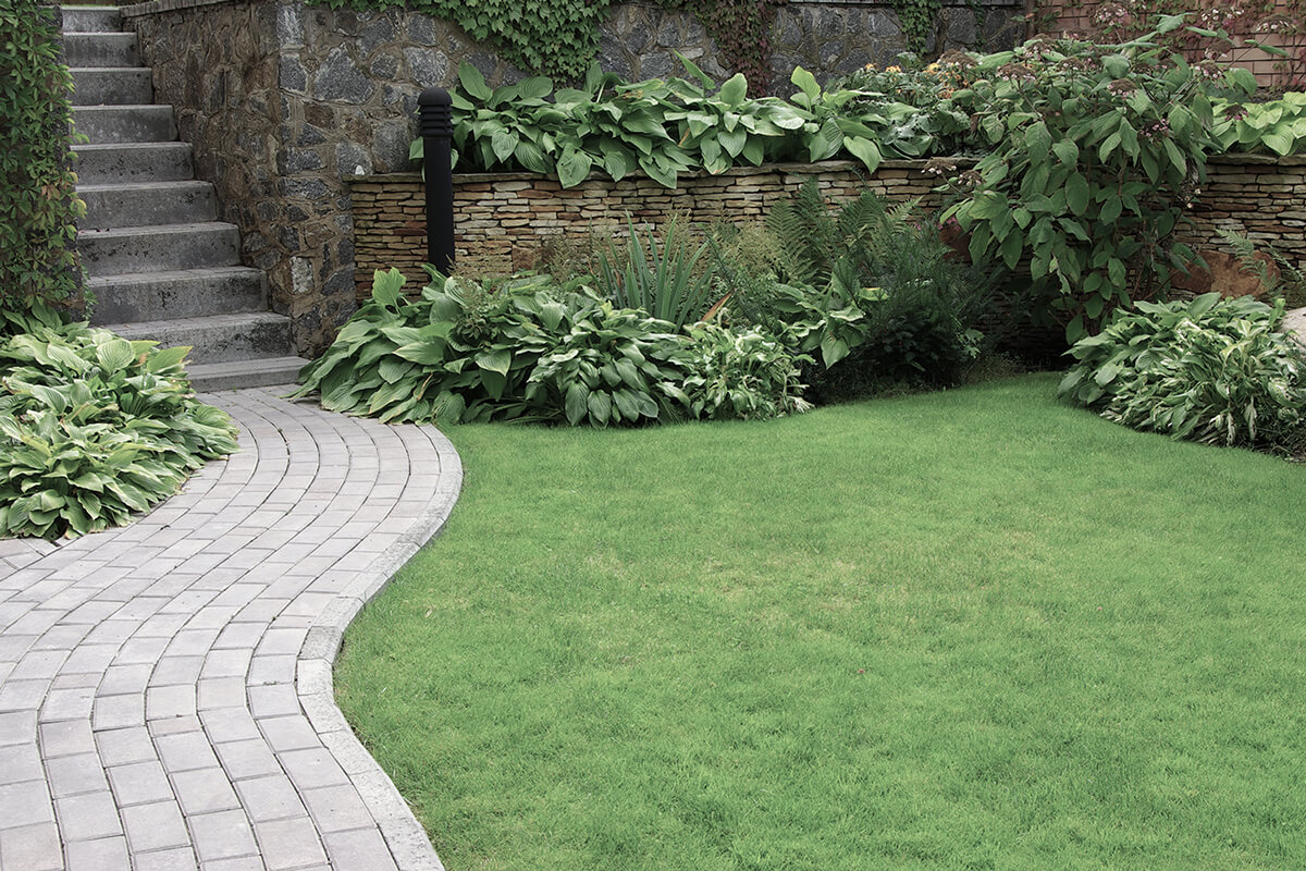 Welcome to Greenleaf Landscaping